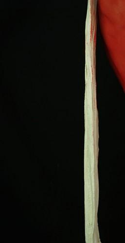 Fragment II