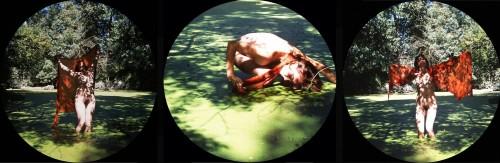 Cerclage mare